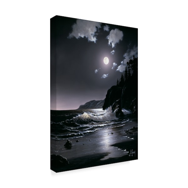 Anthony Casay 'Night Coast 3' Canvas Art,22x32